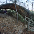Indian Arch - Boyd